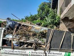 Best Residential Junk Removal  in Lonaconing, MD