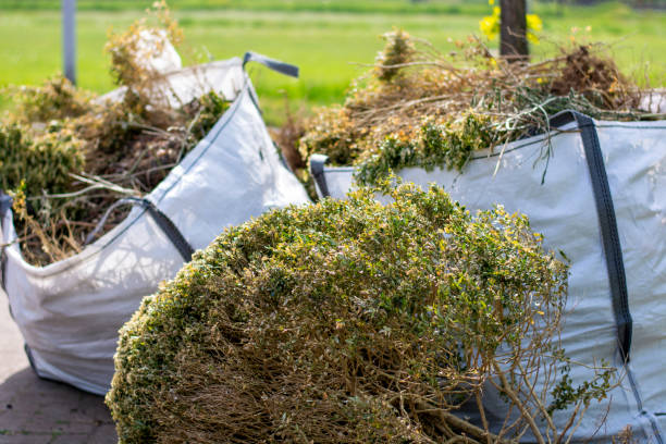 Professional Junk Removal Services in Lonaconing, MD